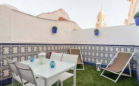 Larios Penthouse With Terrace And 2 Bedrooms